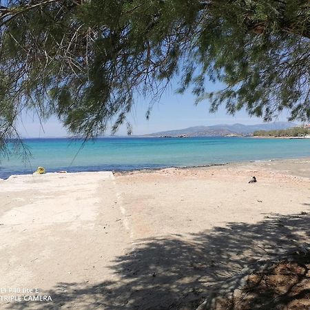 Beach N Fun Bbq Fireplace Saronida Chambre photo